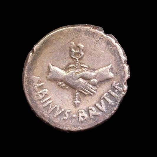 Albinus Bruti Silver Denarius — Pietas & Joined Hands Type - Kinzer Coins