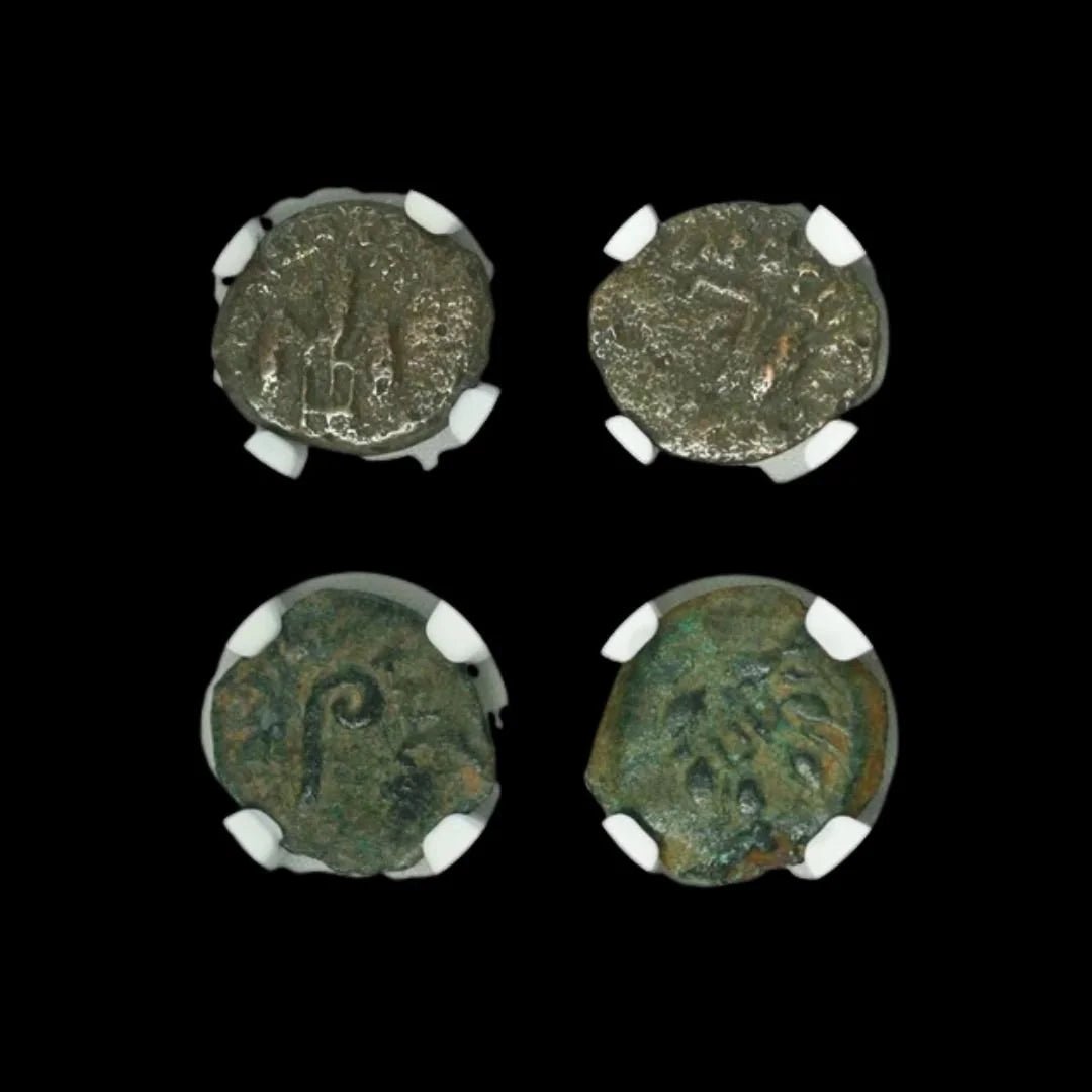 NGC Certified Ancient Judaea Bronze Coin - Pontius Pilate Era (AD 26–36) - Kinzer Coins