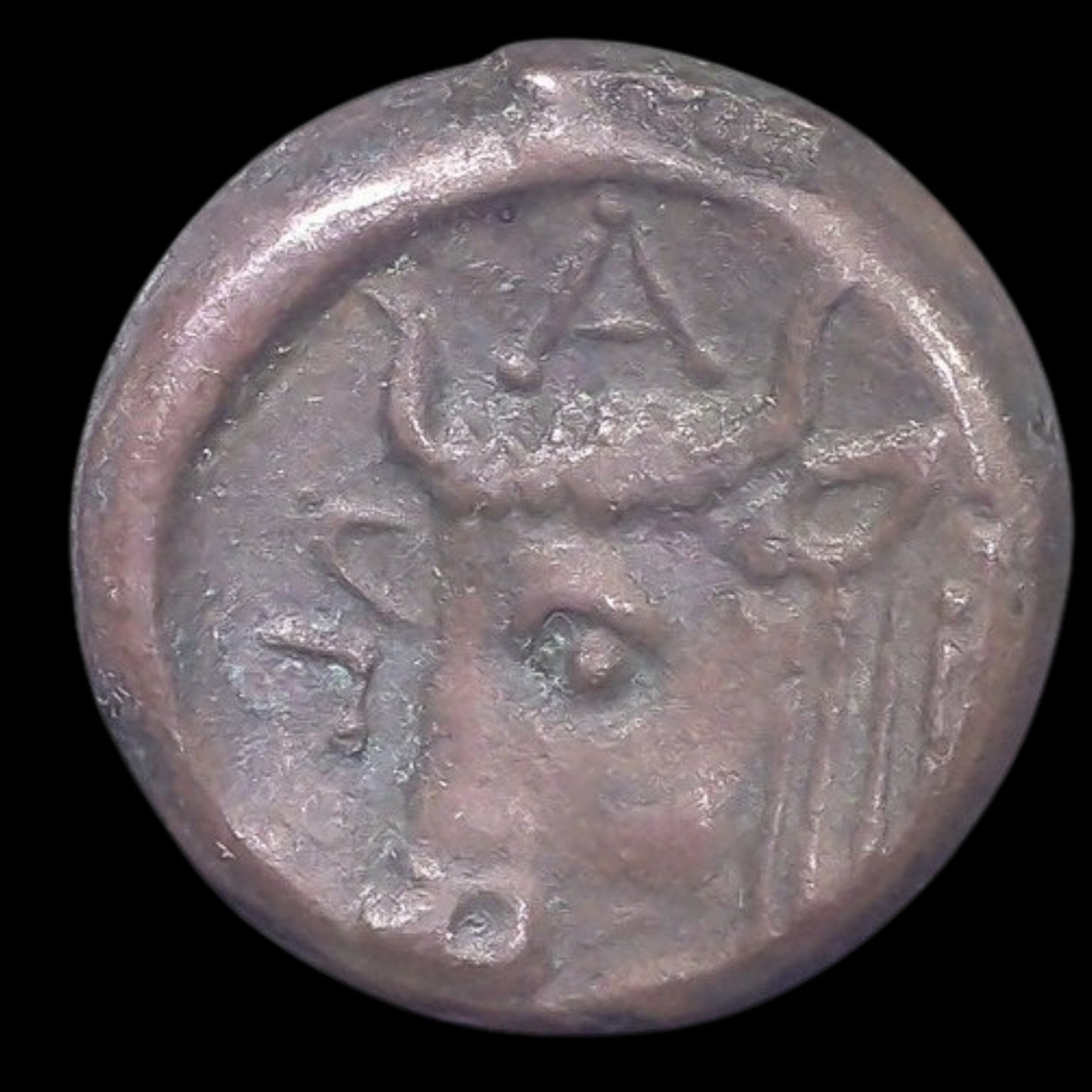 Ancient Greek Bronze Coin from Panticapaeum (Black Sea Greek Colony) - Kinzer Coins