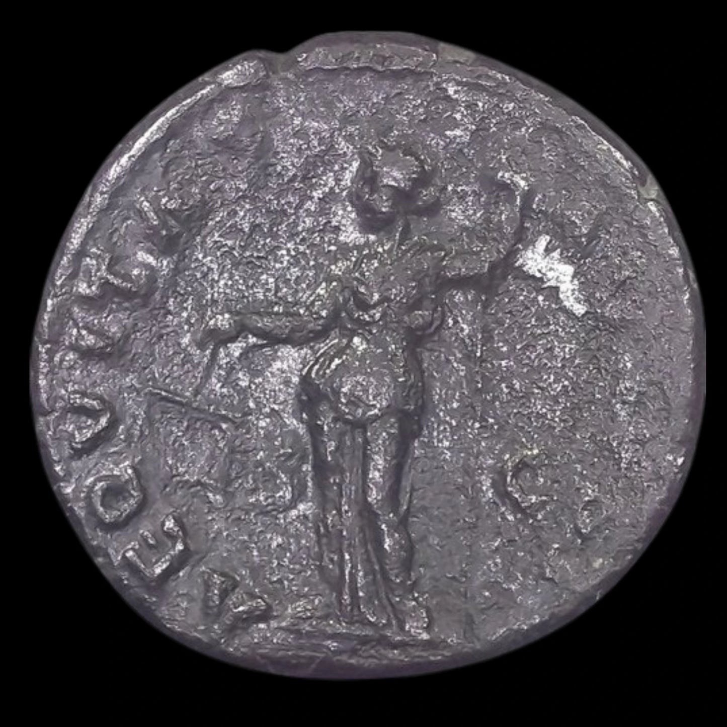 Ancient Roman Bronze Coin of Titus (Future Emperor Who Built the Colosseum) - Kinzer Coins