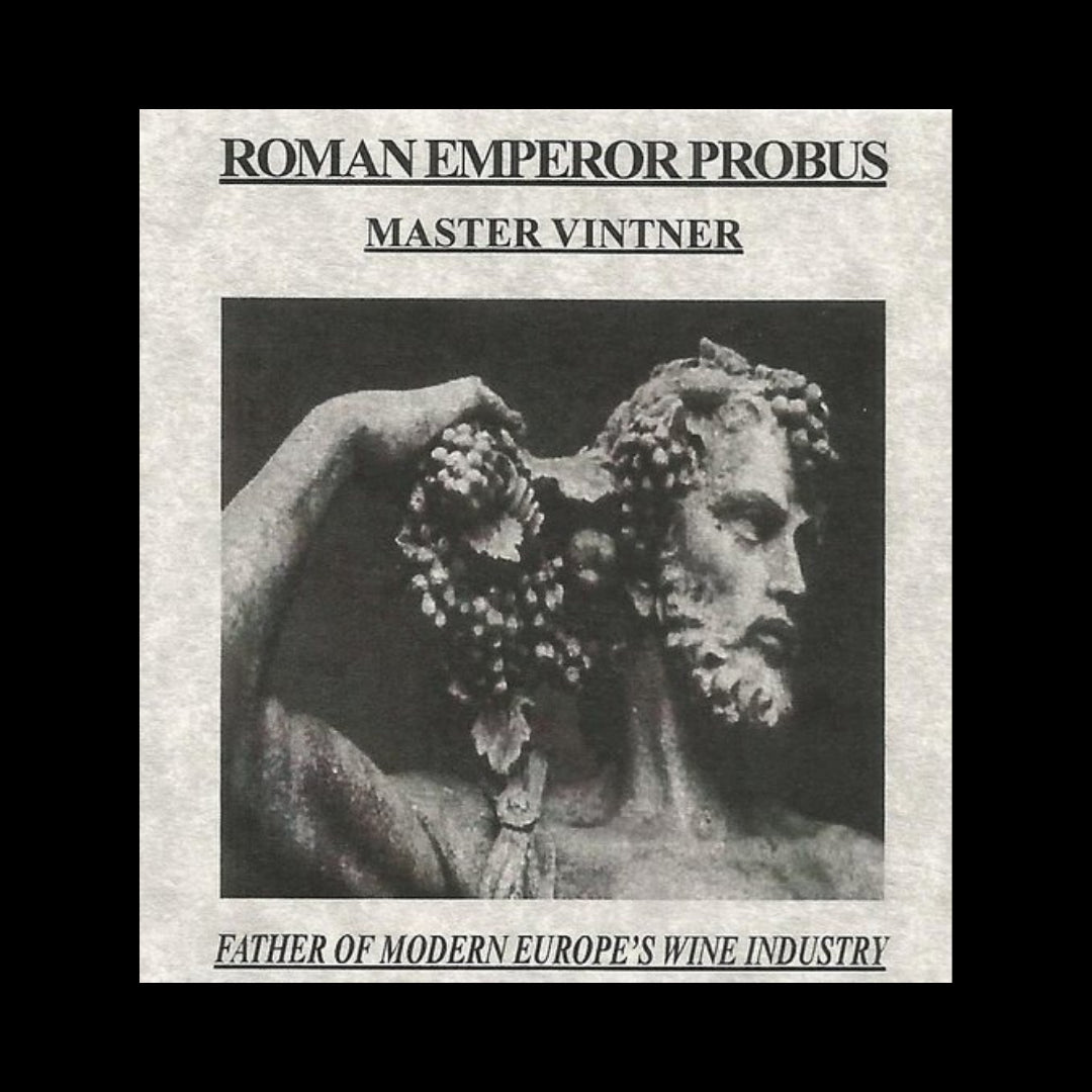Probus Box: Father Of Modern Europe's Wine Industry (about 1750 years ago) - Kinzer Coins