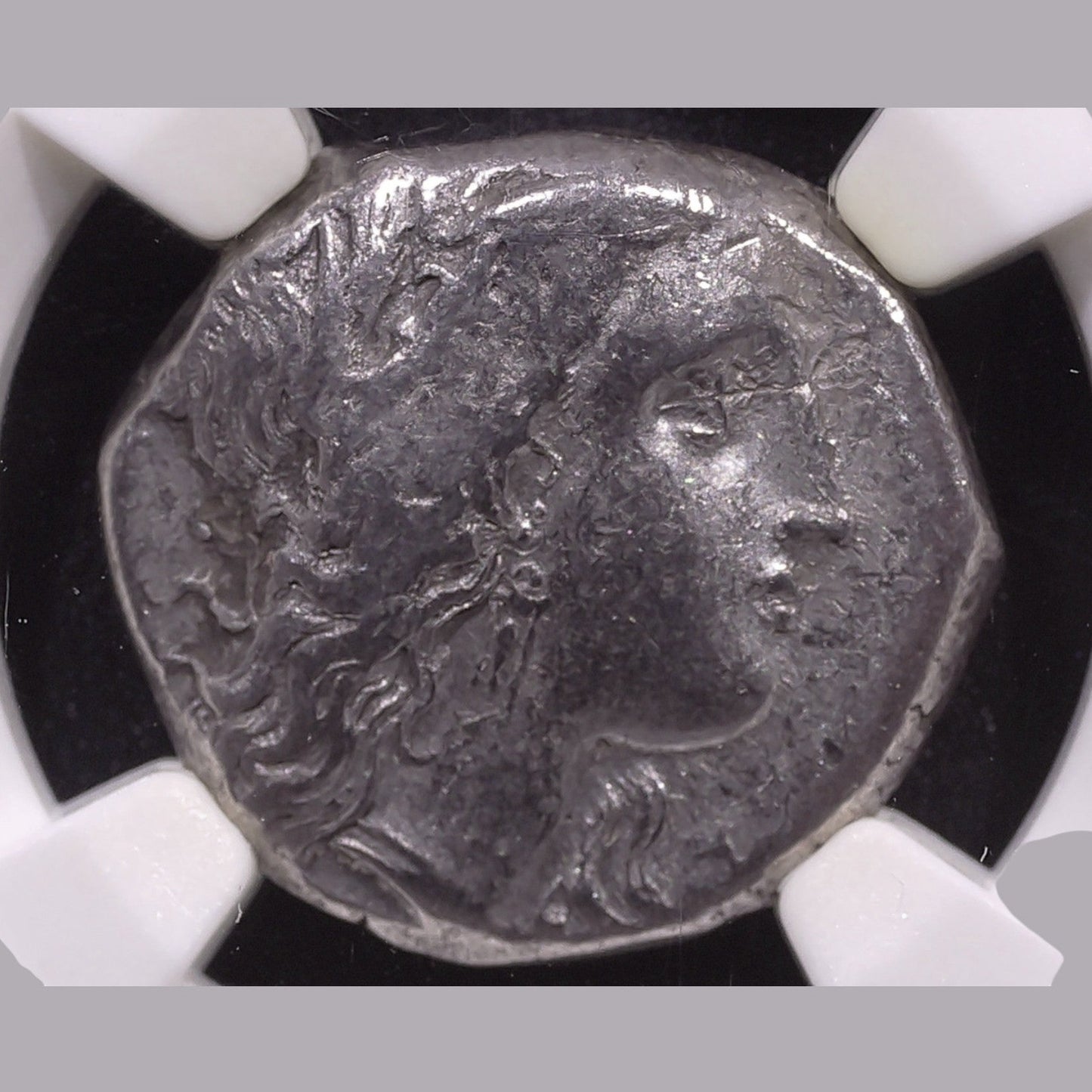 Ancient Greek Silver Stater of Metapontum (c. 330–280 BC, Barley Ear Type), Authenticated Ancient Coin