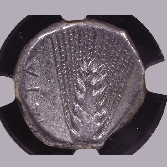 Metapontum Silver Stater — Barley Ear, c. 330–280 BC