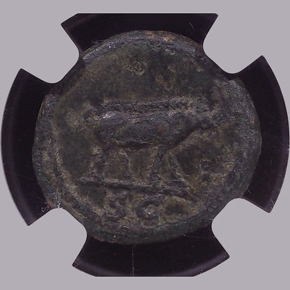 Trajan AE Quadrans — Hercules, Rome's Smallest, AD 98–117