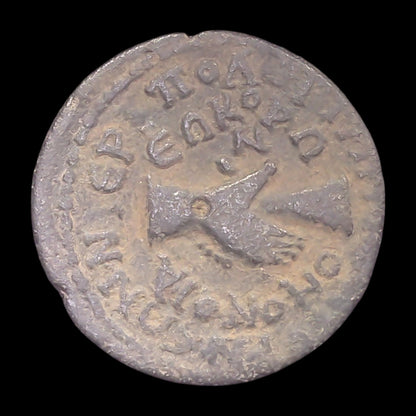 Roman Provincial Bronze Coin from Hierapolis — Celebrating Harmony Between Ancient Cities