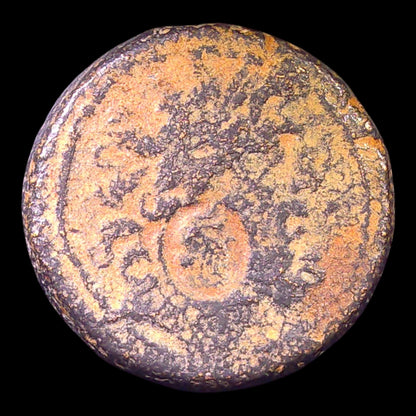 Zeus Bronze of Ancient Antioch | Possible Cleopatra VII Countermark | 47–46 BC