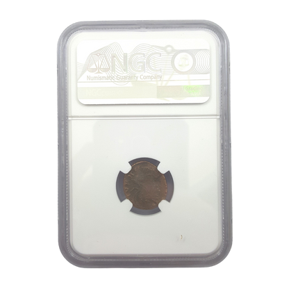 Romulus & Remus Roman Bronze – Urbs Roma She-Wolf – NGC Certified