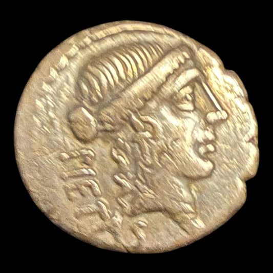 Albinus Bruti Silver Denarius — Pietas & Joined Hands Type - Kinzer Coins