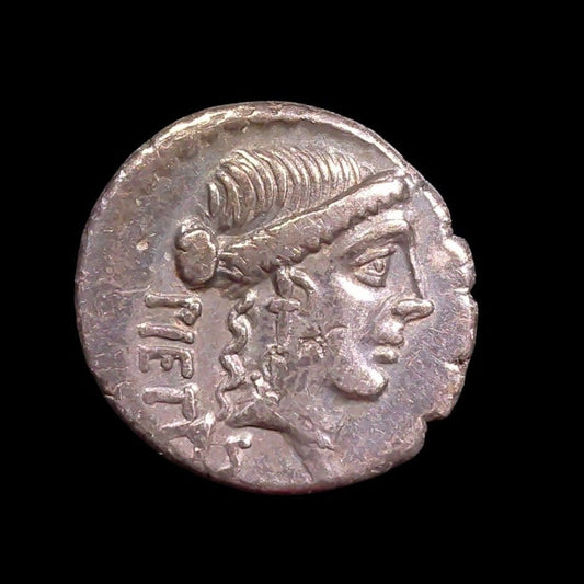 Albinus Bruti Silver Denarius — Pietas & Joined Hands Type - Kinzer Coins