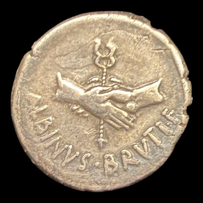 Albinus Bruti Silver Denarius — Pietas & Joined Hands Type - Kinzer Coins