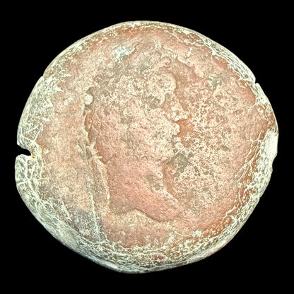 Alexandrian Drachm of Antoninus Pius — Heracles Type - Kinzer Coins