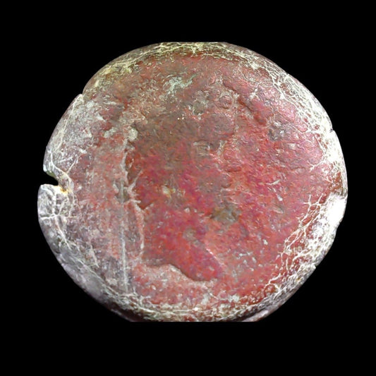 Alexandrian Drachm of Antoninus Pius — Heracles Type - Kinzer Coins