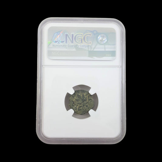 Ancient Biblical Bronze Coin from Judaea (Struck During the First Jewish Revolt Against Rome) - Kinzer Coins