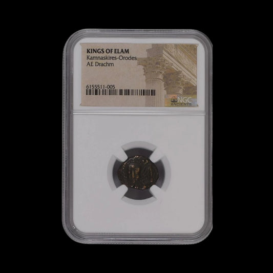Ancient Bronze Coin of the Elymais Kingdom (Powerful Rival of the Seleucid Empire) - Kinzer Coins