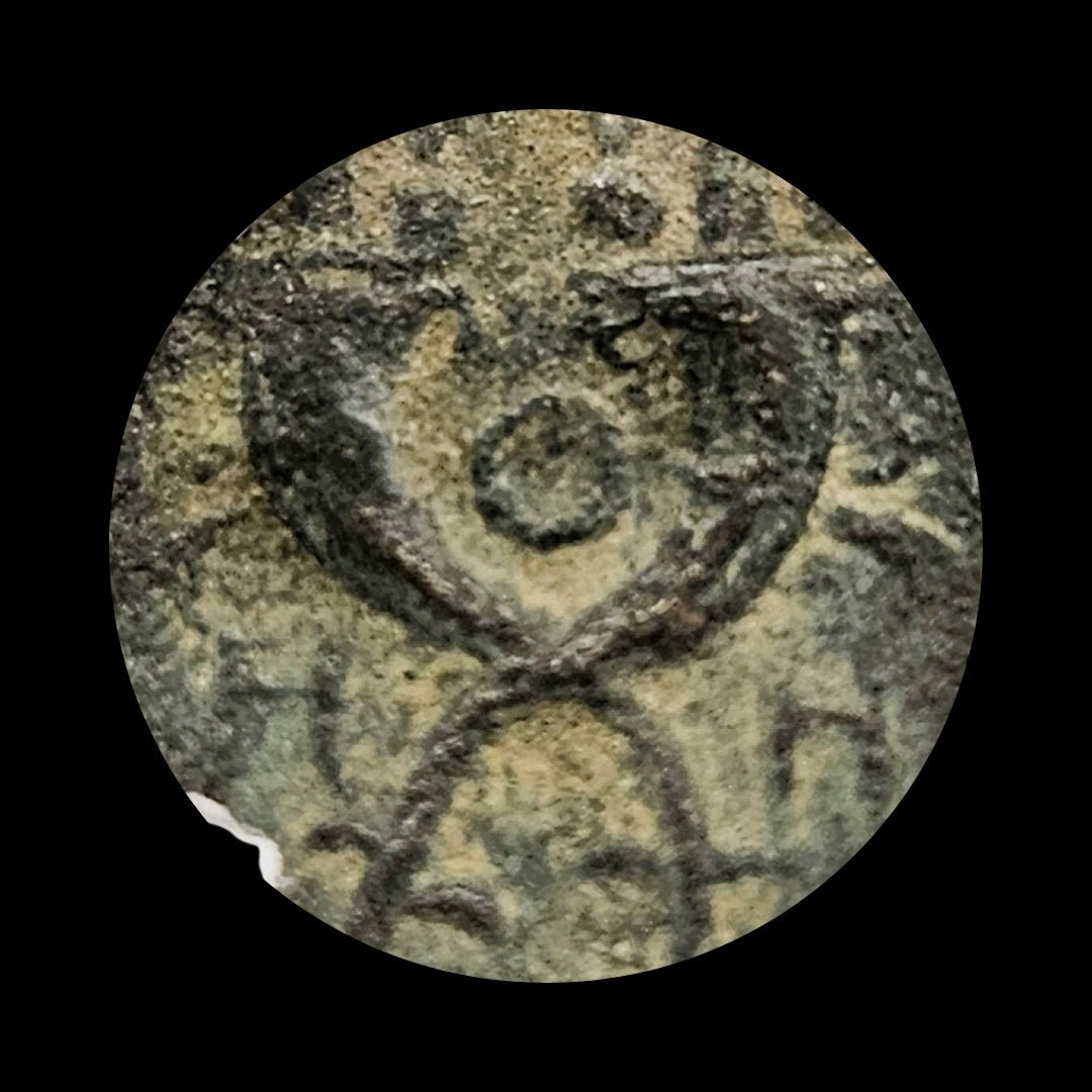 Ancient Bronze Coin of the Nabataean Kingdom (Kingdom of Petra) - Kinzer Coins