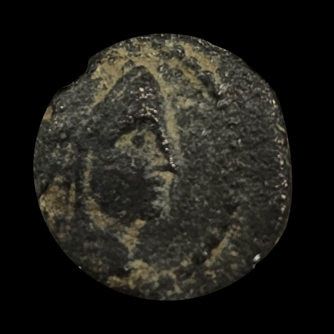 Ancient Bronze Coin of the Nabataean Kingdom (Kingdom of Petra) - Kinzer Coins