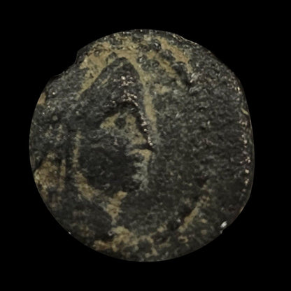 Ancient Bronze Coin of the Nabataean Kingdom (Kingdom of Petra) - Kinzer Coins