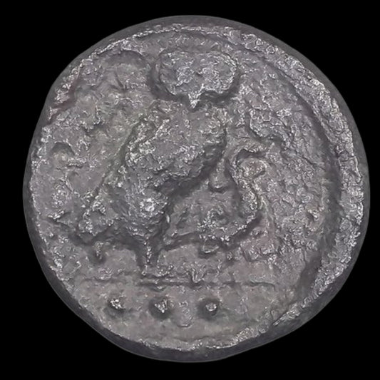 Ancient Greek Bronze Coin from Camarina (Classical Greek City in Sicily) - Kinzer Coins