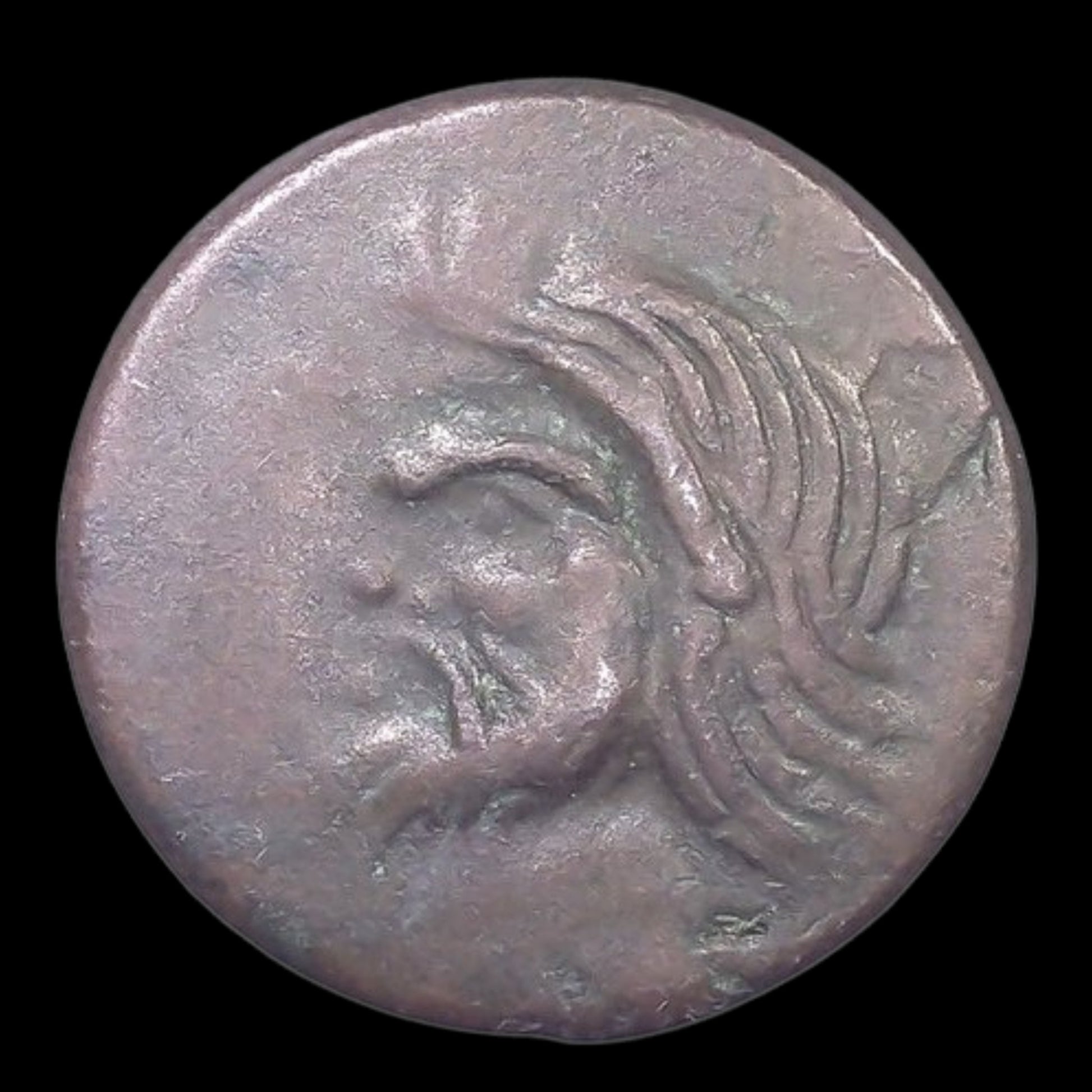 Ancient Greek Bronze Coin from Panticapaeum (Black Sea Greek Colony) - Kinzer Coins
