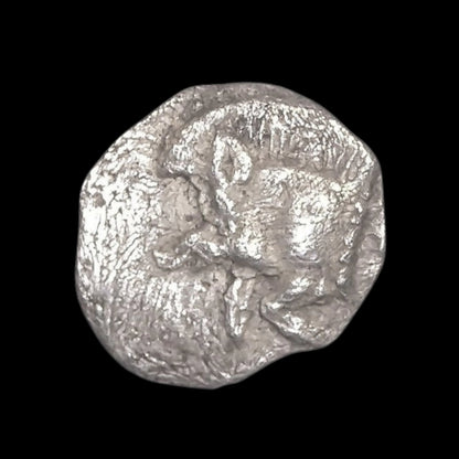 Ancient Greek Silver Coin from Cyzicus (Famous Lion and Boar Design) - Kinzer Coins