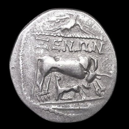 Ancient Greek Silver Coin from Dyrrhachion (Illyrian Coast of the Adriatic Sea) - Kinzer Coins