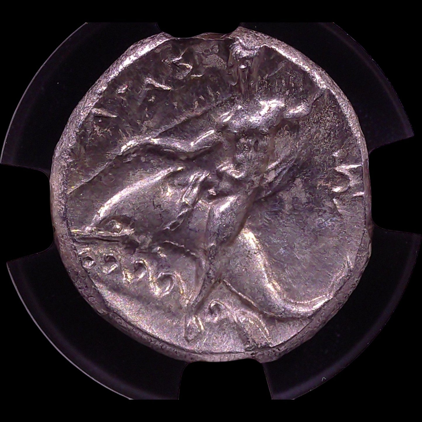 Ancient Greek Silver Didrachm of Taras (c. 280–240 BC, Horseman & Dolphin Rider Type), Authenticated Ancient Coin - Kinzer Coins