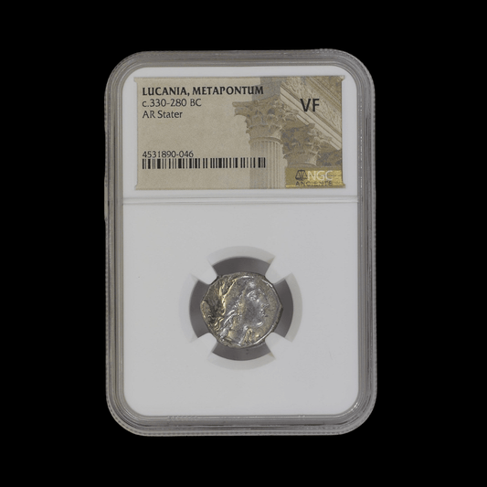 Ancient Greek Silver Stater of Metapontum (c. 330–280 BC, Barley Ear Type), Authenticated Ancient Coin - Kinzer Coins
