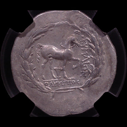 Ancient Greek Silver Tetradrachm of Cyme (c. Mid-2nd Century BC, Amazon Cyme & Horse Type), Authenticated Ancient Coin - Kinzer Coins