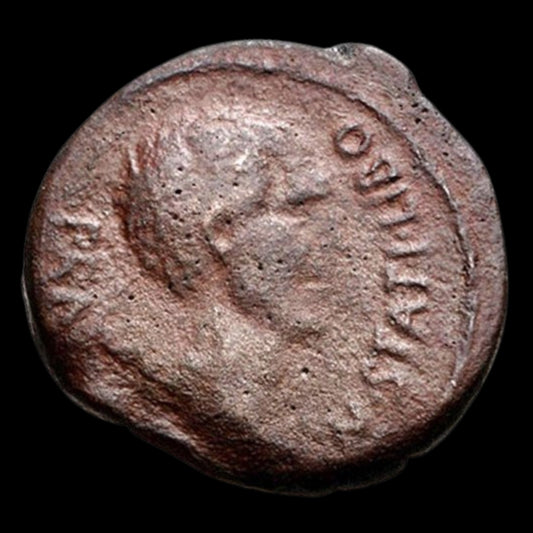Ancient Roman Bronze Coin from the Early Roman Empire (Issued by Statilius Libo) - Kinzer Coins