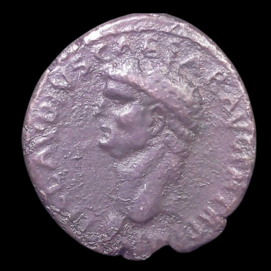 Ancient Roman Bronze Coin of Emperor Claudius I (Emperor Who Conquered Britain) - Kinzer Coins