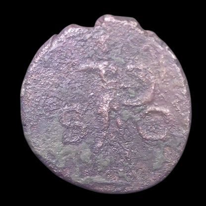 Ancient Roman Bronze Coin of Emperor Claudius I (Emperor Who Conquered Britain) - Kinzer Coins