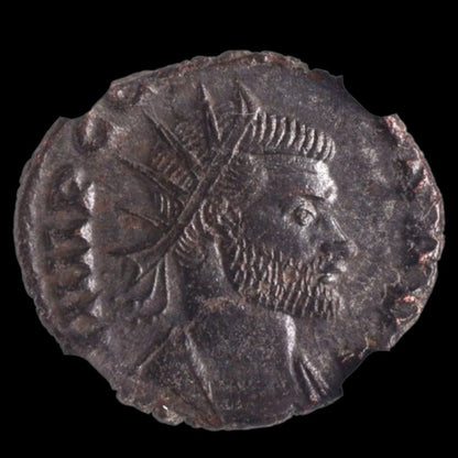 Ancient Roman Bronze Coin of Emperor Claudius II Gothicus (Defeated the Goths) - Kinzer Coins