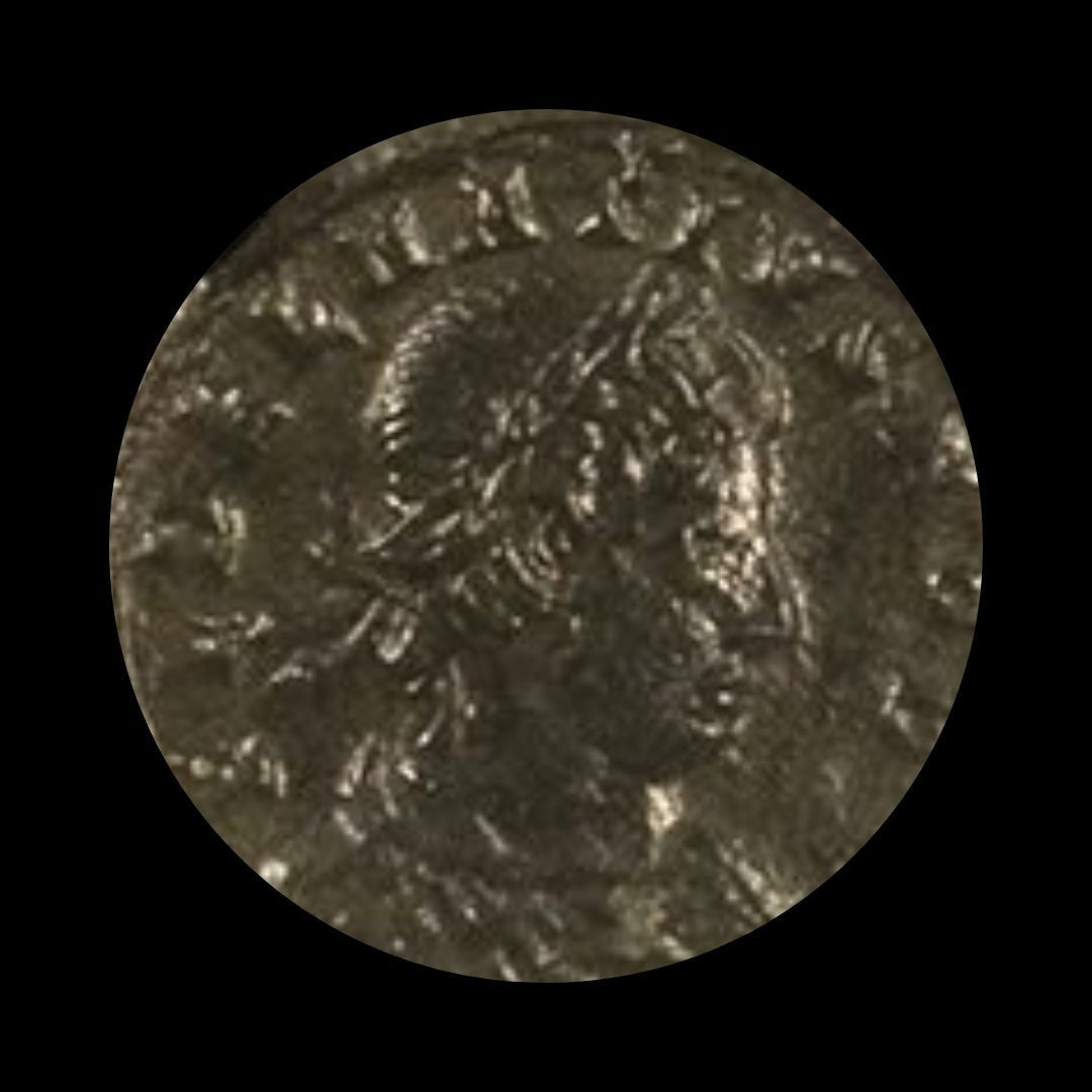 Ancient Roman Bronze Coin of Emperor Delmatius (Nephew of Constantine the Great) - Kinzer Coins