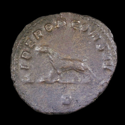 Ancient Roman Bronze Coin of Emperor Gallienus (Defender of the Empire in a Time of Chaos) - Kinzer Coins