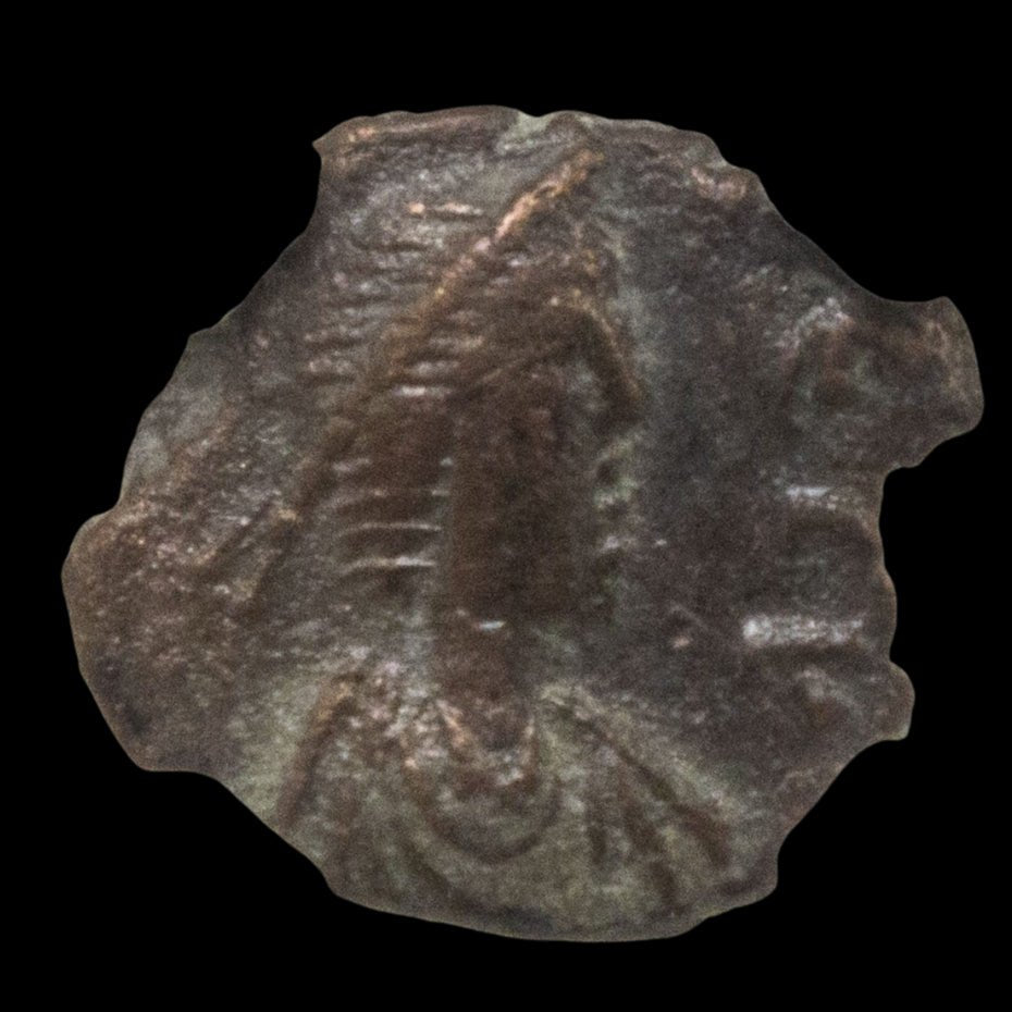 Ancient Roman Bronze Coin of Emperor Leo I (Early Byzantine Emperor) - Kinzer Coins