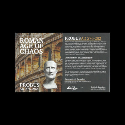 Ancient Roman Bronze Coin of Emperor Probus (Restorer of Stability After Rome’s Crisis) - Kinzer Coins