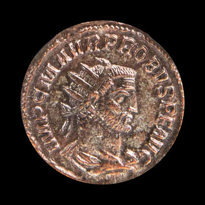 Ancient Roman Bronze Coin of Emperor Probus (Restorer of Stability After Rome’s Crisis) - Kinzer Coins