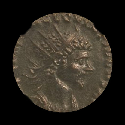 Ancient Roman Bronze Coin of Emperor Quintillus (Briefly Ruled After Claudius II) - Kinzer Coins