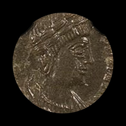 Ancient Roman Bronze Coin of Empress Flavia Maximiana Theodora (Wife of Emperor Constantius I) - Kinzer Coins