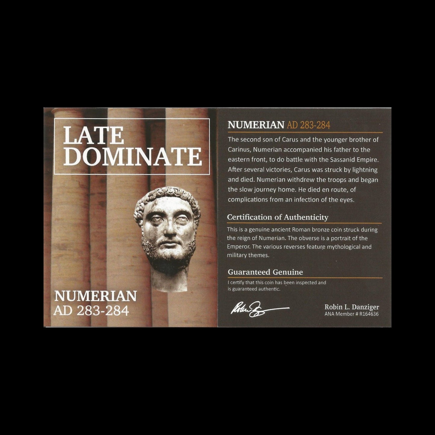 Ancient Roman Coin of Emperor Numerian (Short - Reigned Son of Emperor Carus) - Kinzer Coins