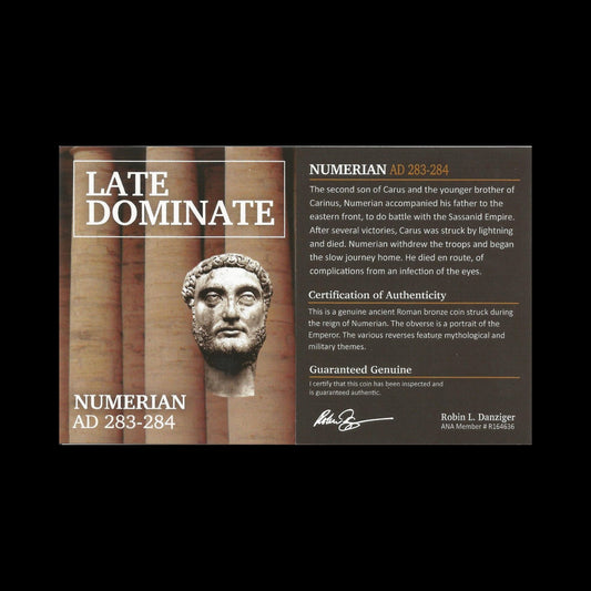 Ancient Roman Coin of Emperor Numerian (Short - Reigned Son of Emperor Carus) - Kinzer Coins