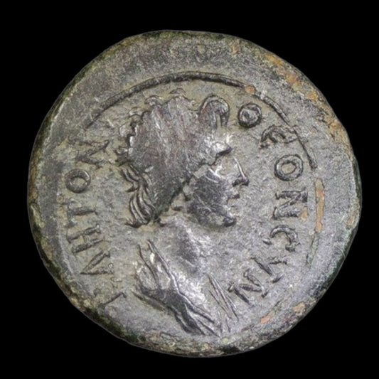 Ancient Roman Provincial Bronze Coin from Pergamum (Ancient City of Asia Minor) - Kinzer Coins