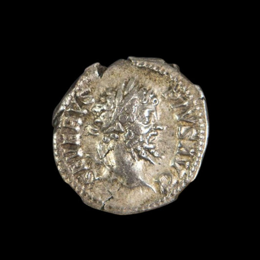 Ancient Roman Silver Coin of Emperor Septimius Severus (Founder of the Severan Dynasty) - Kinzer Coins