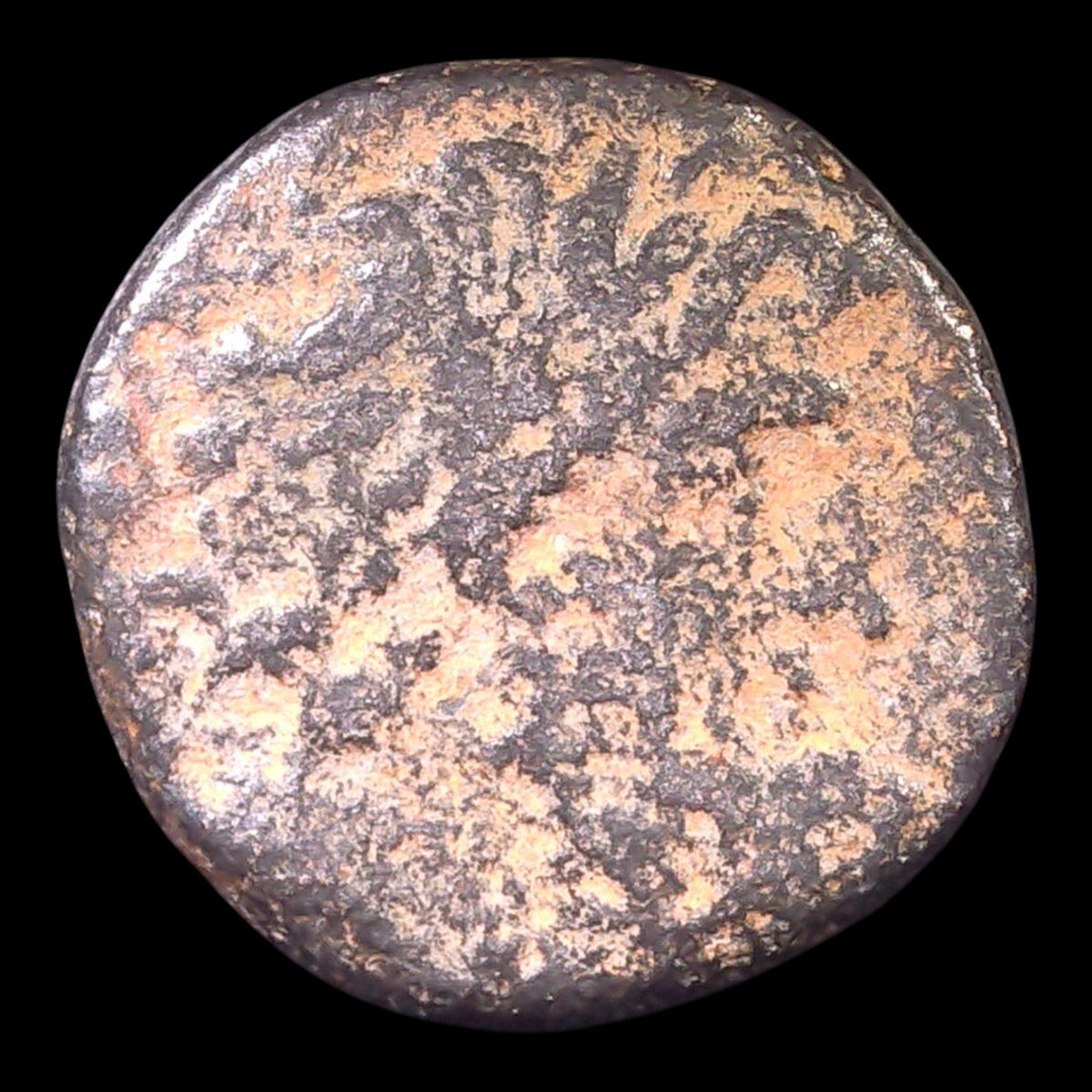 Antioch Bronze of Publius Quinctilius Varus | Zeus & Tyche | 7–6 BC - Kinzer Coins
