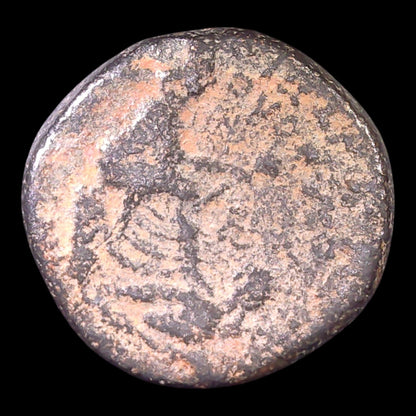 Antioch Bronze of Publius Quinctilius Varus | Zeus & Tyche | 7–6 BC - Kinzer Coins