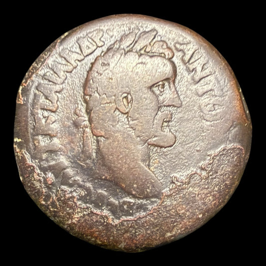 Antoninus Pius Alexandria Drachm — Astrological Bull & Aphrodite Type - Kinzer Coins