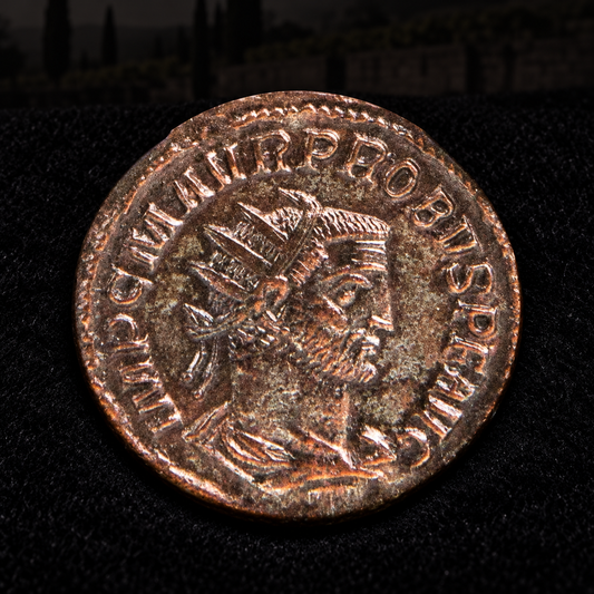 Representative coin obverse resting on black velvet with an illustrative historical background — Probus Ancient Roman Antoninianus — Restorer After the Crisis (AD 276–282) — NGC Certified