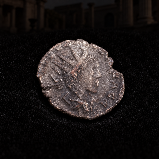 Representative coin obverse resting on black velvet with an illustrative historical background — Tetricus II Ancient Roman Antoninianus — Prince of the Gallic Empire (AD 273–274) — NGC Certified