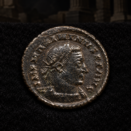 Styled coin preview on black velvet with an illustrative historical background — Maximinus II Daza Bronze — London Mint — NGC
