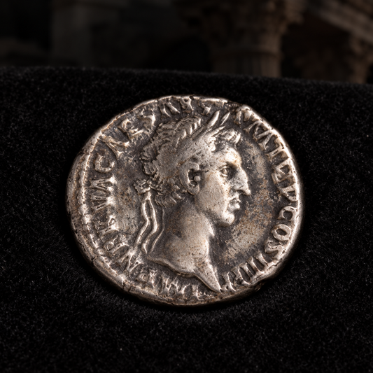 Styled coin preview on black velvet with an illustrative historical background — Nerva Silver Denarius — NGC